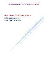 Đề cương ôn tập Học kì 1 Hóa học 12 năm 2024–2025 trường THPT Lương Văn Chánh (Đắk Lắk)